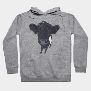 BELTED GALLOWAY Hoodie